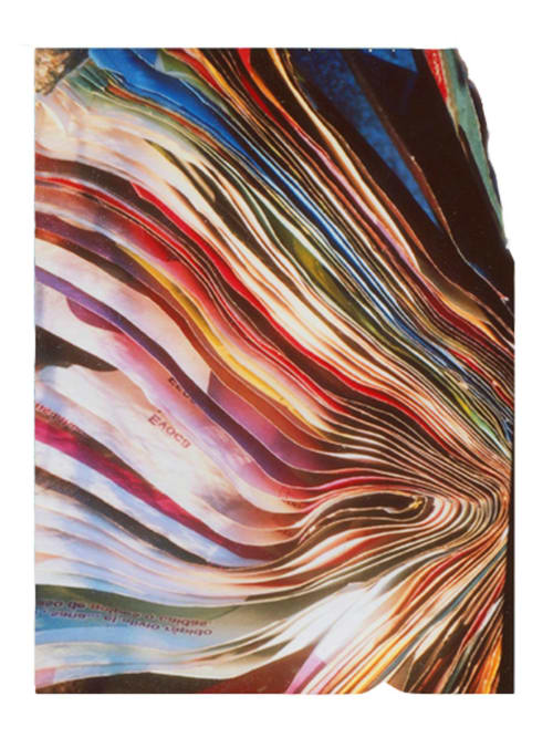 Tropical thoughts (Wavelenghts) | Photography by She Hit Pause