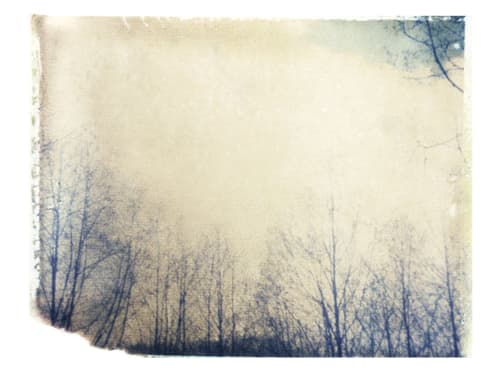 I Prefer You Fragile | Photography by She Hit Pause