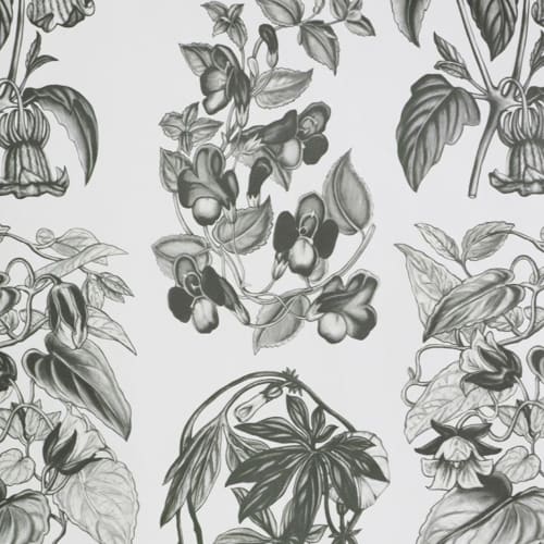 Flore Des Serres Charcoal Wallpaper | Wall Treatments by Stevie Howell