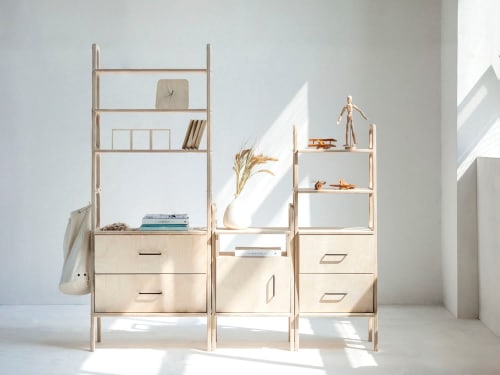 Ladder bookshelf, Modular wall shelving | Storage by Plywood Project
