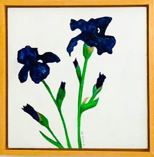 Bearded Iris II | Paintings by Susan Wallis