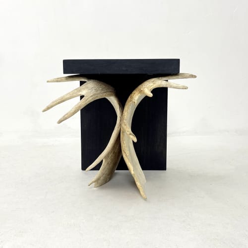 Moose Antler End Table | Tables by Farmhaus + Co.