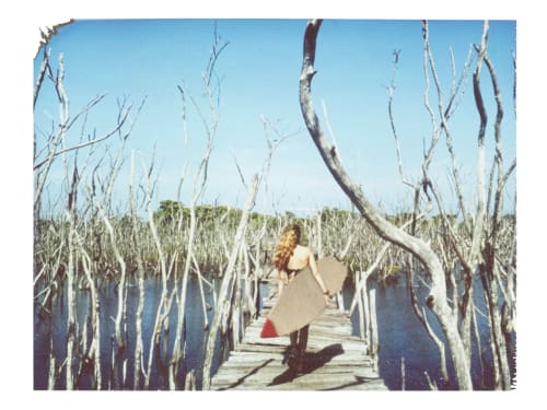 Through The Mangroves | Paintings by She Hit Pause