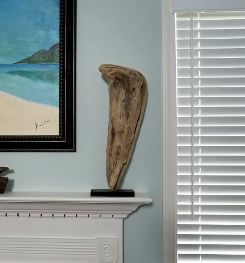 Driftwood Sculpture "Fang" | Sculptures by Sculptured By Nature  By John Walker
