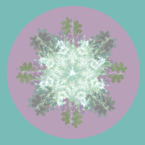 Botanical mandala #6 | Photography by Louise O'Gorman