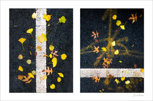 Street Lines #01: Street Lines and Yellow Leaves | Photography by Susan Bowen Photos