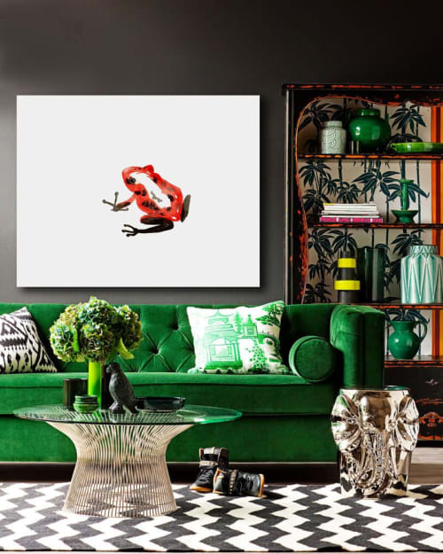Red Poison Dart Frog | Prints by Brazen Edwards Artist
