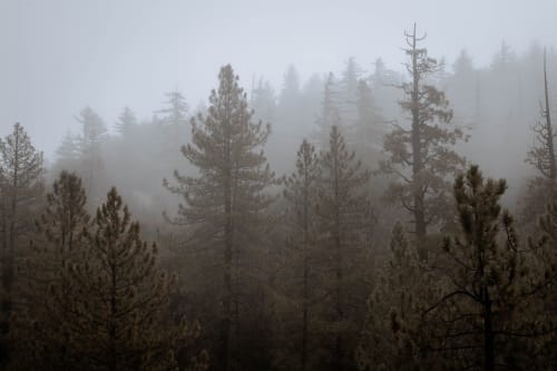 Pacific Crest Trail | Photography by Korbin Bielski Fine Art Photography