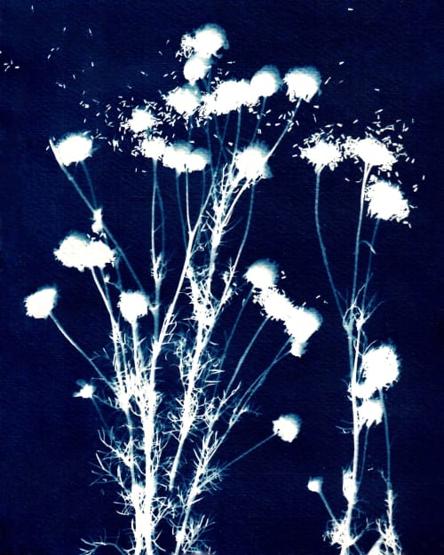 Exploding Seed Pods | Paintings by Kathy Ferguson Art