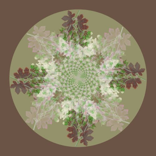 Botanical Mandala #2 | Photography by Louise O'Gorman