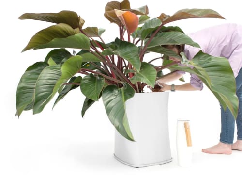 Jade Planter | Vases & Vessels by Model No.