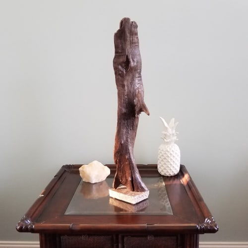 Driftwood Sculpture "Urbane" with Travertine Base | Sculptures by Sculptured By Nature  By John Walker