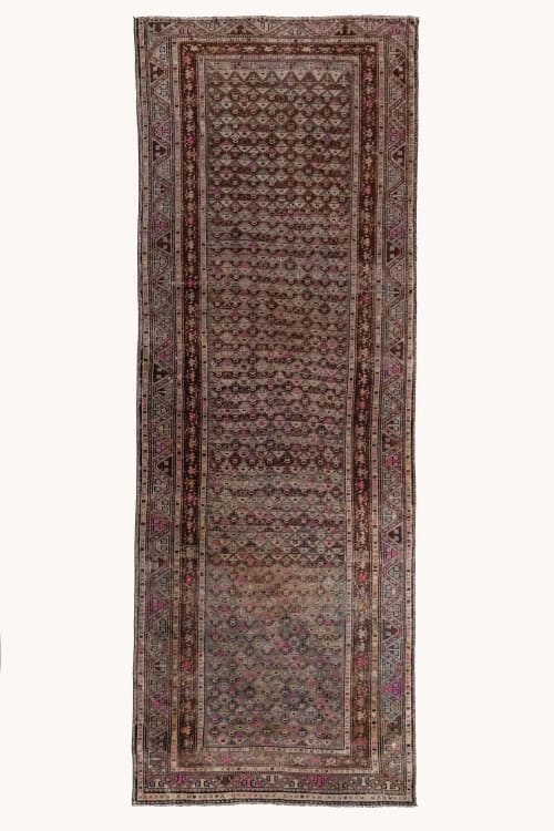 HOLD Epsie | 3'6 x 9'8 | Rugs by District Loom