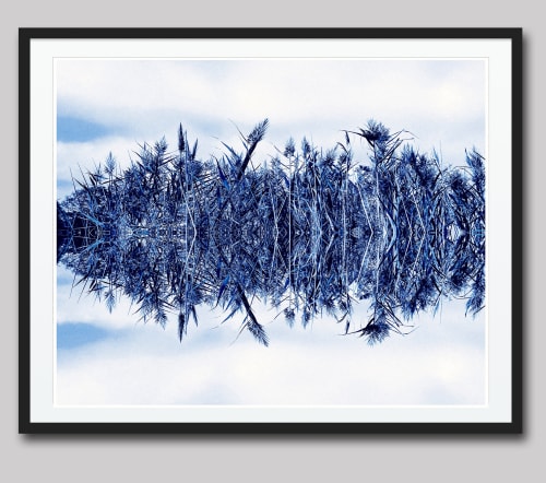 Blowing in the Wind - Sapphire | Photography by Joanie Landau