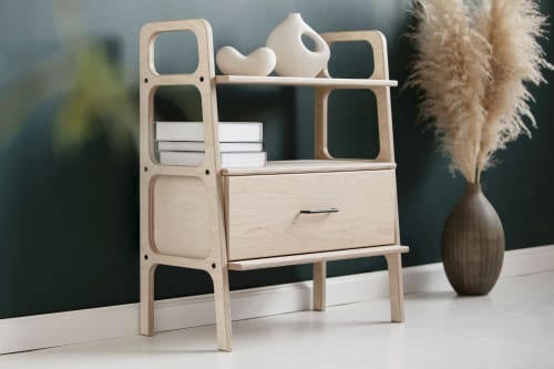 Ladder bookshelf, Mid Century Modern, Bookcase | Storage by Plywood Project