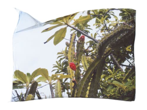 Lost in the Trees | Photography by She Hit Pause