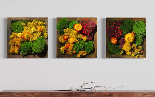 Organic Modern Art, Dried Flower Art Preserved Moss Wall | Plants & Landscape by Sarah Montgomery