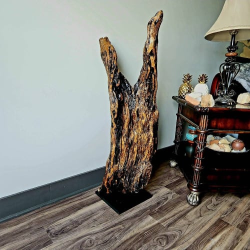 Driftwood Art Sculpture "Snap" | Sculptures by Sculptured By Nature  By John Walker