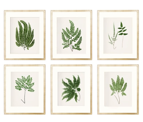 Fern Print Set, Farmhouse set of 6 fern prints, Cottagecore | Prints by Capricorn Press