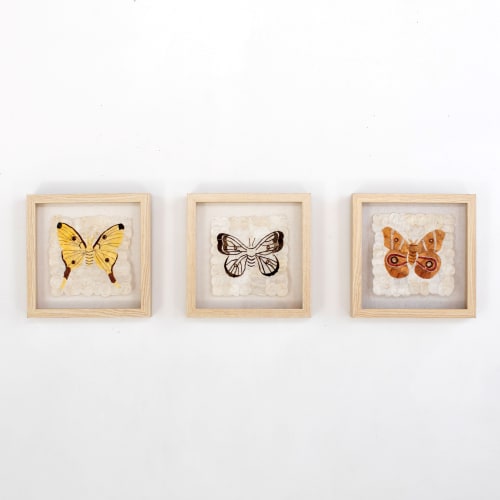 Mini Moth Set | Mixed Media by Tanana Madagascar