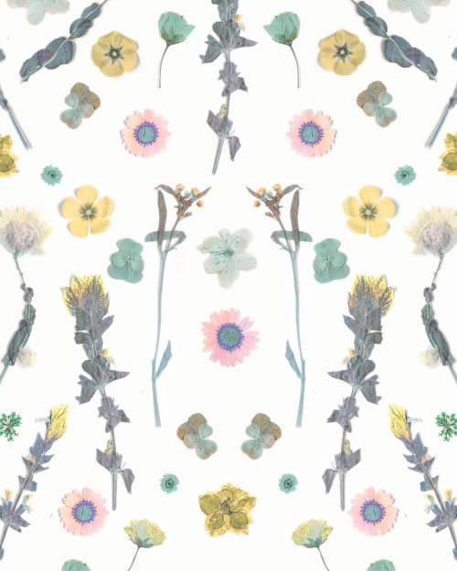 Pressed Flowers, Version 2 Traditional Prepasted Wallpaper | Wallpaper by Samantha Santana Wallpaper & Home