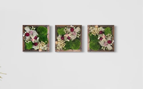 Organic Modern Art, Dried Flower Art Preserved Moss Wall | Plants & Landscape by Sarah Montgomery