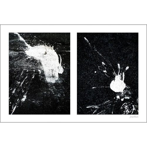 Spills Diptych #05: Conversing White Blobs | Photography by Susan B