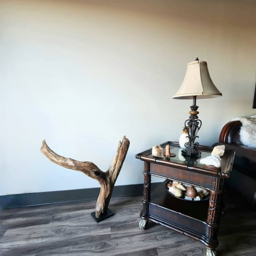 Driftwood Art Sculpture "Don't Ask Why" | Sculptures by Sculptured By Nature  By John Walker