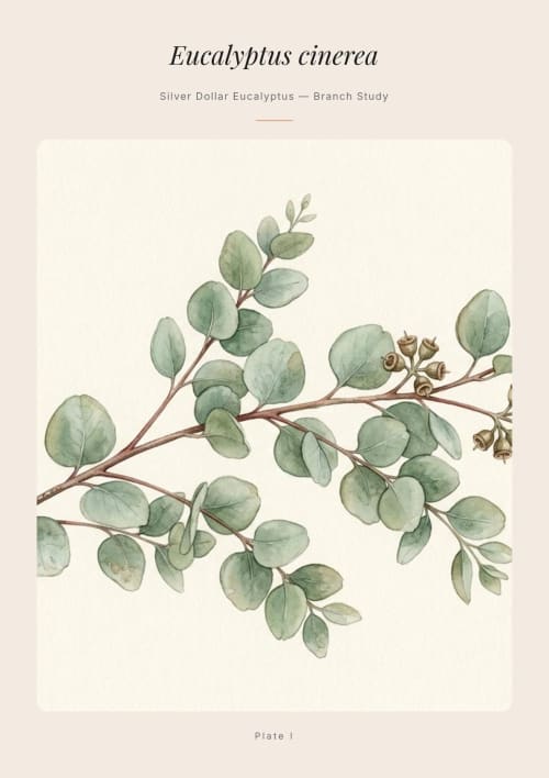 Botanical Watercolor Art Prints Bundle 18 Pages Printable Wall Art Eucalyptus Peony Olive Monstera Lavender Digital Download A4 Home Decor | Digital Art in Art & Wall Decor by Colorize Paper Studio