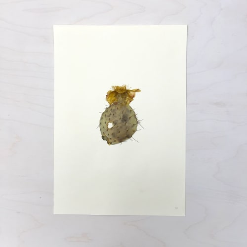 Vintage Pressed Botanical #37 | Art & Wall Decor by Farmhaus + Co.