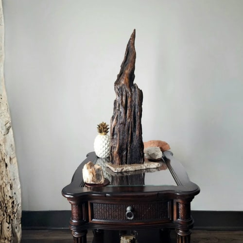 Tree Bark Driftwood Art Sculpture "Crusty Cusp" | Sculptures by Sculptured By Nature  By John Walker
