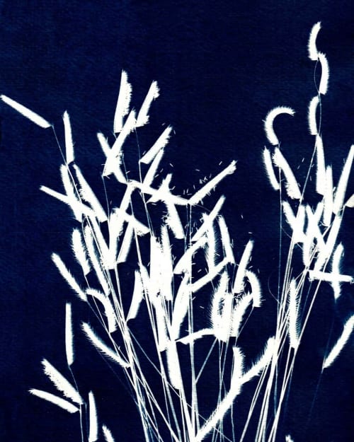 Ornamental Grass Four | Paintings by Kathy Ferguson Art