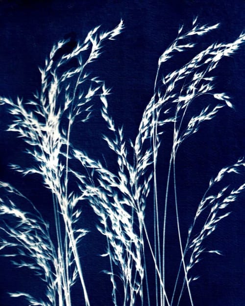 Ornamental Grass Five | Paintings by Kathy Ferguson Art