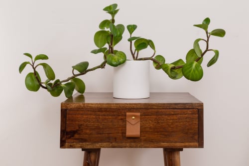 Small Wide Leather Pull [V'ed End] | Hardware by Keyaiira | leather + fiber | Artist Studio in Santa Rosa