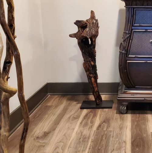 Driftwood Sculpture "Crunchy Couture" | Sculptures by Sculptured By Nature  By John Walker