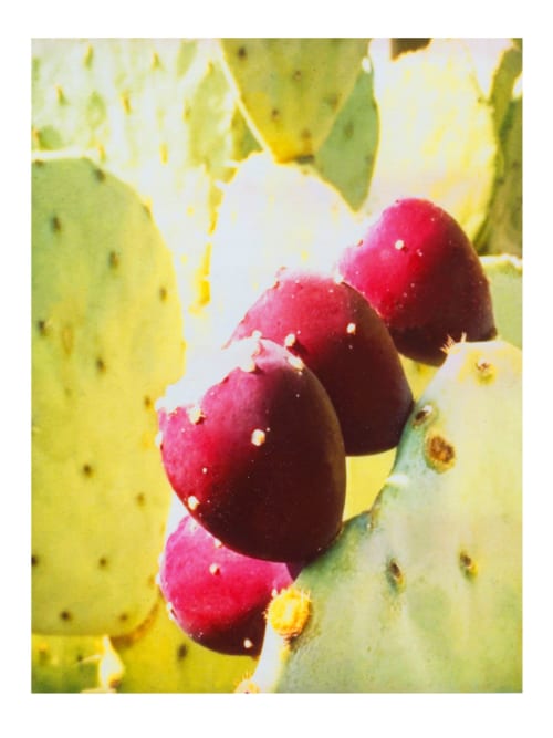 Her silent bloom | Photography by She Hit Pause