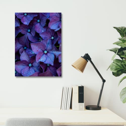 Photograph • Purple Hydrangeas, Floral, Raindrops, Macro | Photography by Honeycomb
