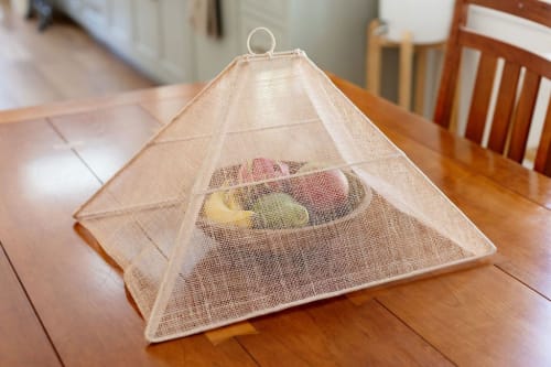 Handmade Collapsible Woven Food Tent | Natural | Set of 2 | Ornament in Decorative Objects by NEEPA HUT