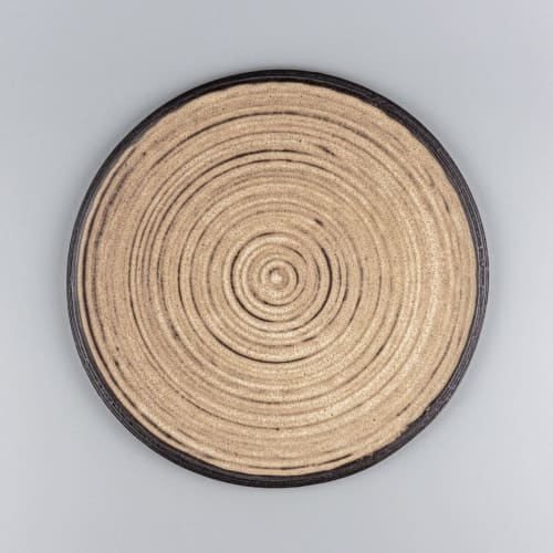 Plate Omia Circles | Dinnerware by Svetlana Savcic / Stonessa