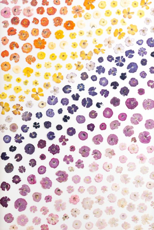 Flower fields Part 2 | Pressing in Art & Wall Decor by Sarah Ebert Art