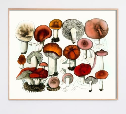 Mushroom Decor, Red and Orange Mushroom Art Print, Kitchen | Prints by Capricorn Press