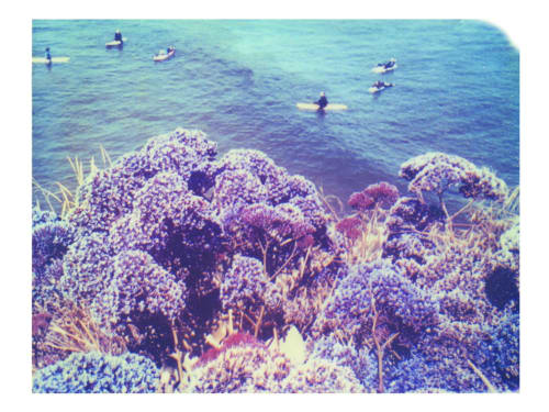 Waiting For Paint To Dry | Photography by She Hit Pause