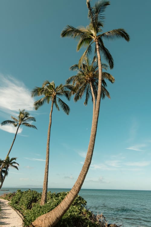 Maui Stretch | Photography by Korbin Bielski Fine Art Photography