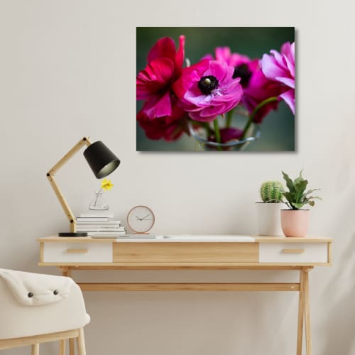 Photograph • Pink Ranunculus, Floral, Macro | Prints by Honeycomb