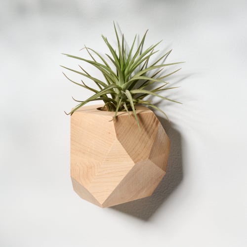 GEORGIA Maple Air Plant Holder | Vases & Vessels by Untitled_Co