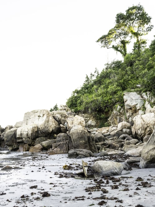 Magnolia Beach (Vertical) | Prints by Neon Dunes by Lily Keller