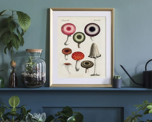 Mushroom Wall Art, Mushroom Art, Antique Victorian Mushroom | Prints by Capricorn Press