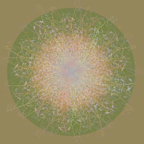Floral mandala #2 | Photography by Louise O'Gorman