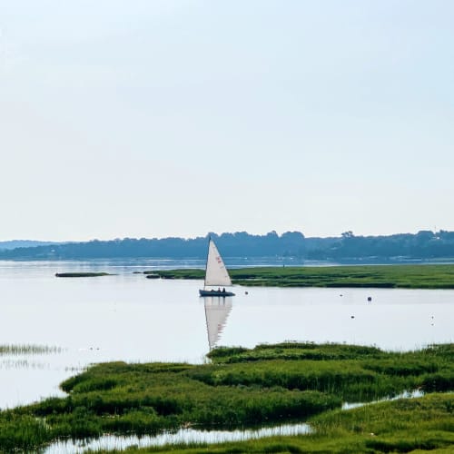 The Lesson | Photography by Neon Dunes by Lily Keller