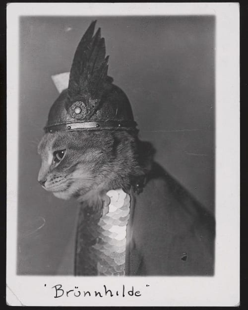 Valkyrie Cat Art Print, Brünnhilde Mythology Wall Art | Prints in Paintings by The Ugly Cat Studio